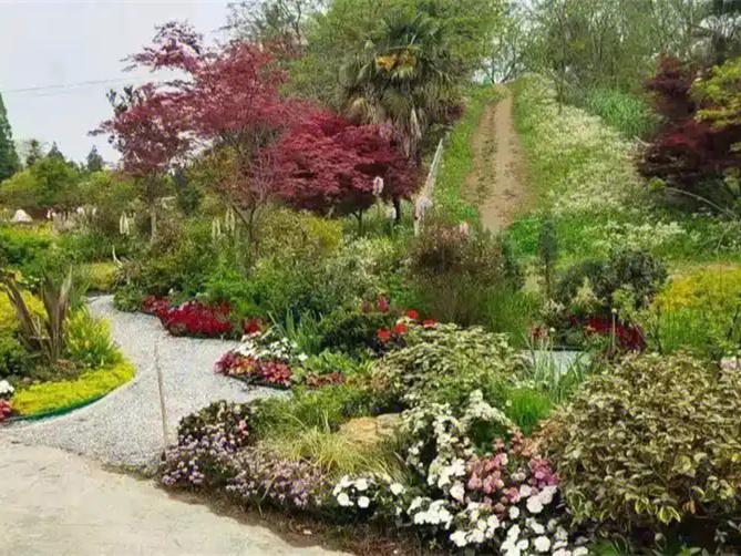 泰安農家院花園設計
