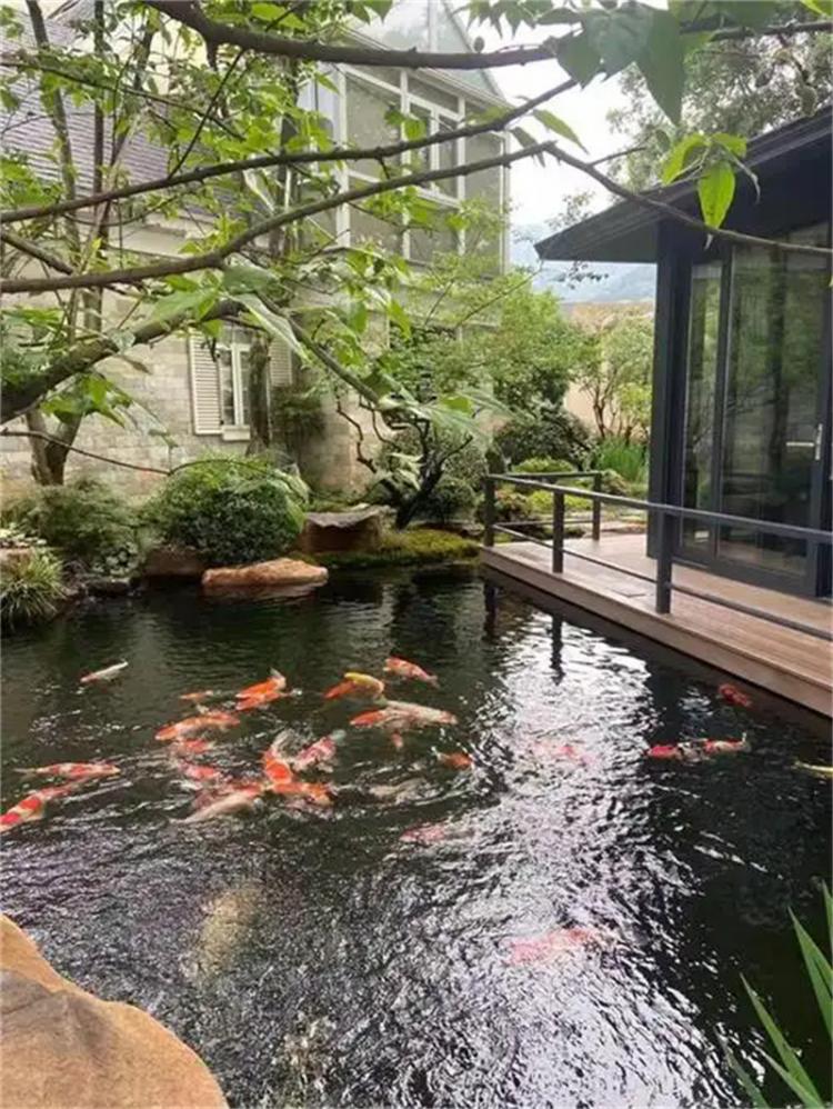 泰安私家別墅庭院魚池假山設計